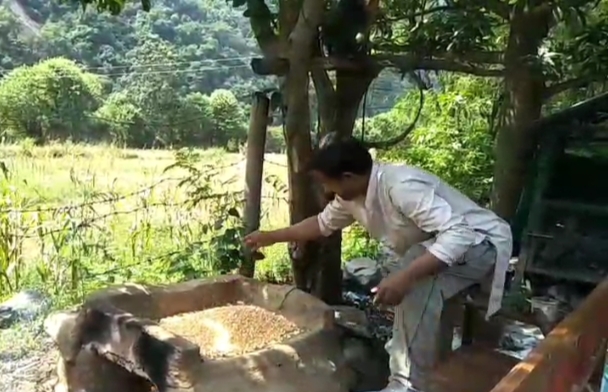 सिरमौर के गिरीपार जनपद क्षेत्र में मक्की से भूना हुआ सत्तू किया जाता है तैयार