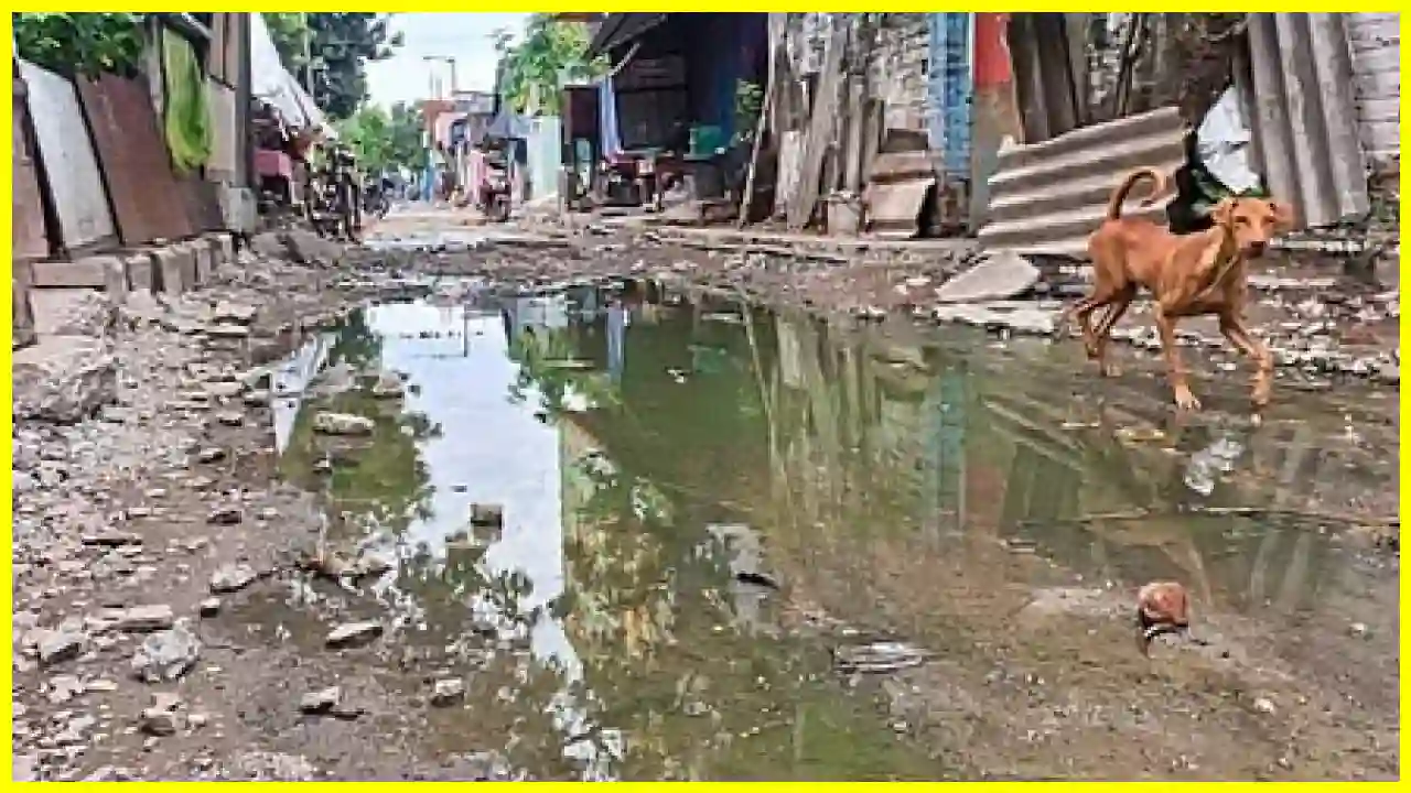 तमिलनाडु में जल और सीवेज परियोजनाओं के लिए पर्यावरणीय ऑडिट तमिलनाडु में जल और सीवेज परियोजनाओं के लिए पर्यावरणीय ऑडिट