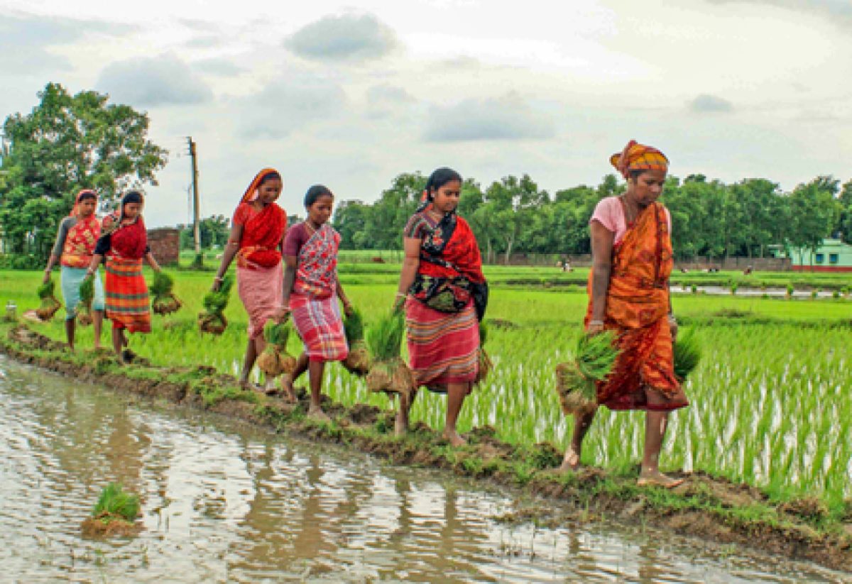 बंगाल सरकार ने प्रवासी श्रमिक परिवारों के लिए रोजगार कार्ड जारी करने का निर्णय लिया