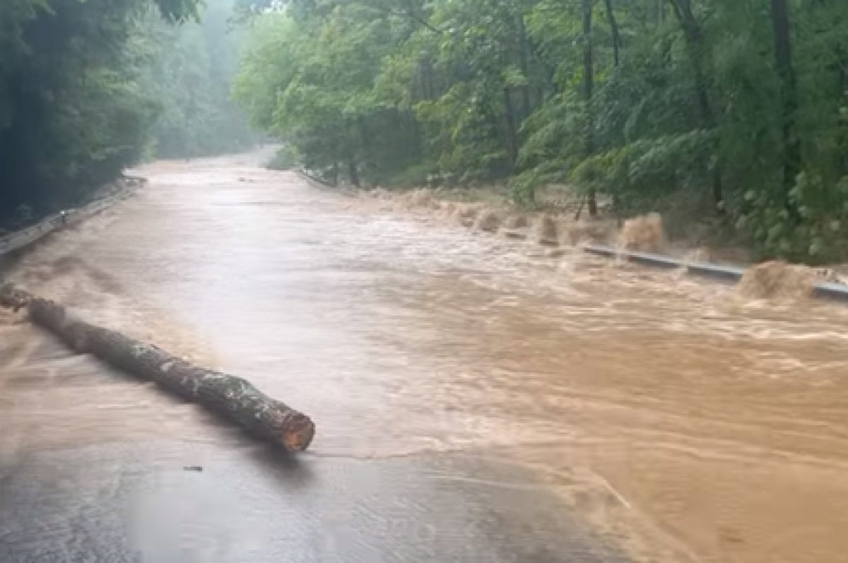 ग्रैंड कैन्यन नेशनल पार्क में बाढ़ से दो लोगों की मौत